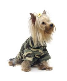 Shirt for dog - camouflage
