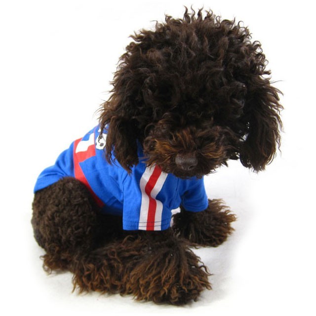 tee shirt foot pour animaux France pour supporter chien et chat sur boutique pour votre animal sport