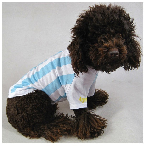 maillot foot chien chat equipe d&#039;argentine coupe du monde football pour chihuahua york westie bichon lhassa shitzu...