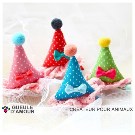 Pince chapeau fête pour cadeau anniversaire original fille boutique on line animalerie tendance