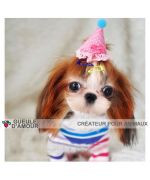 Accessoires de chien pour anniversaire : pince chapeau, barrette chapeau de fête, accessoires festif pour animaux de compagnie 