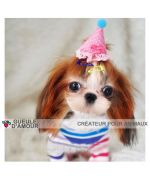 Accesorios para perros para cumpleaños: pinza para sombrero, pasador para sombrero de fiesta, accesorios festivos para mascotas