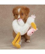 Colección cigüeña rosa peluche niña niño navidad regalo nacimiento original pequeño precio