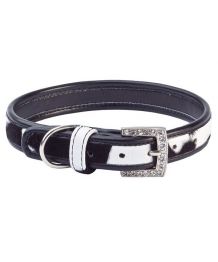 Collier pour chien noir et blanc tacheté