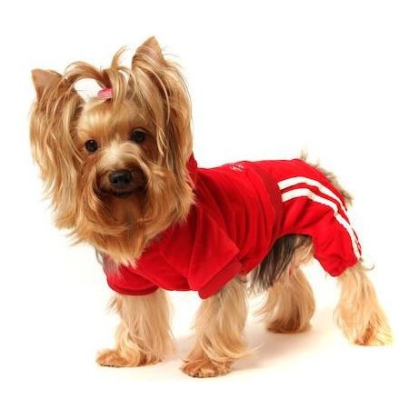 buy red dog jogging suit size xs sml xl xxl for mini small large dog and puppy Christmas gift www.gueule-damour.com