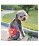 Diadema con lazo para el vientre para mascotas, perros de razas pequeñas y grandes, boca de amor, solución barata para perros