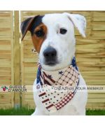 Gorgeous booba jack russel wearing bandana accessory hangover of love america original christmas gift