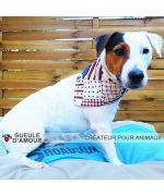 Diego jack russel with bandana fashion america ultra cute for dog free shipping mouth of love