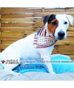 Diego jack russel avec bandana fashion america ultra mignon pour chien livraison gratuite gueule d amour