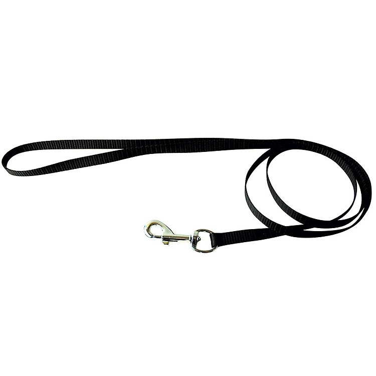 Black nylon leash for dogs and cats cheap on sale in trendy specialized dog shop