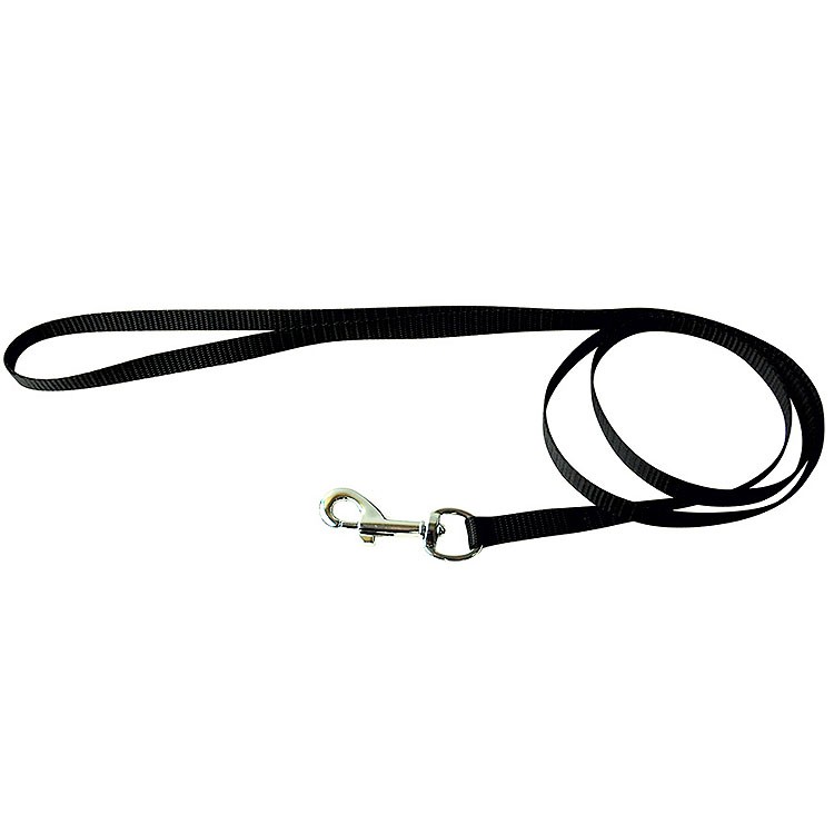 Laisse nylon noir pour chien et chat pas chere en vente sur boutique pour chiens spécialisée tendance