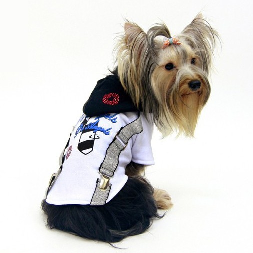 chic and fashionable large dog hoodie sale: bulldog, sharpei, dalmatian, husky, sheepdog, dachshund, beagle