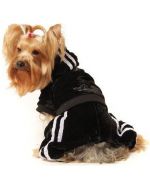 elegante jogging negro para perro colección cálida otoño invierno boca de amor