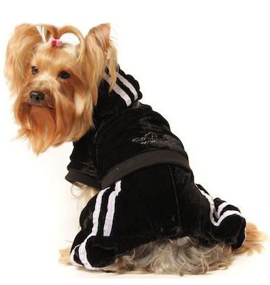 elegante jogging negro para perro colección cálida otoño invierno boca de amor