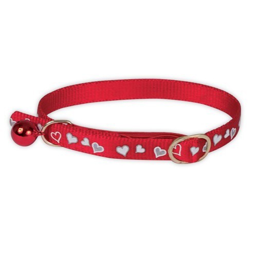 Collar reflechissant the night for a cat not expensive shop pet shop online