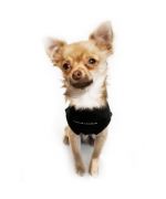 Camiseta sin mangas para chihuahua pequeño perro gato de gran tamaño a precio mini en la tienda de mascotas original