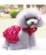 obe rouge pour chienne mariage fete anniversaire adorable pas cher deguisement soirée