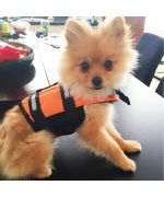chaleco salvavidas naranja perro gato boca de amor tienda diversión mascotas regalos