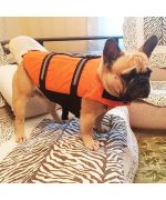 bulldog con chaleco salvavidas boutique boca de amor perro gato