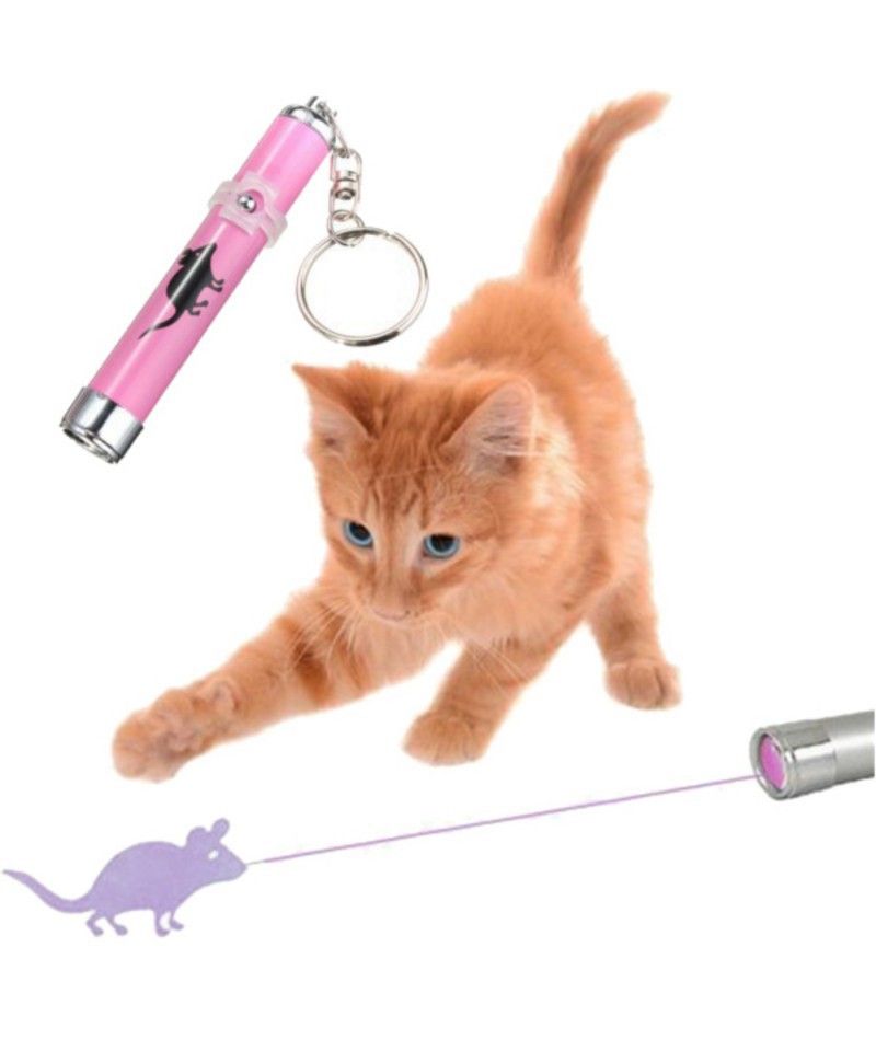 jeux laser pour chat