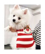 cute spitz wearing a christmas outfit