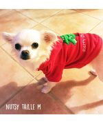little adorable chihuahua wearing red christmas sweater size M with fir hood