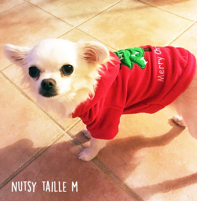 cute little chihuahua wearing Christmas sweater size M red with Christmas tree hood