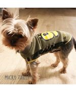 Micky looky little york con su pequeña camiseta deportiva.jpg