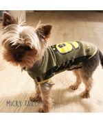 Micky looky little york wearing his little sports t-shirt.jpg