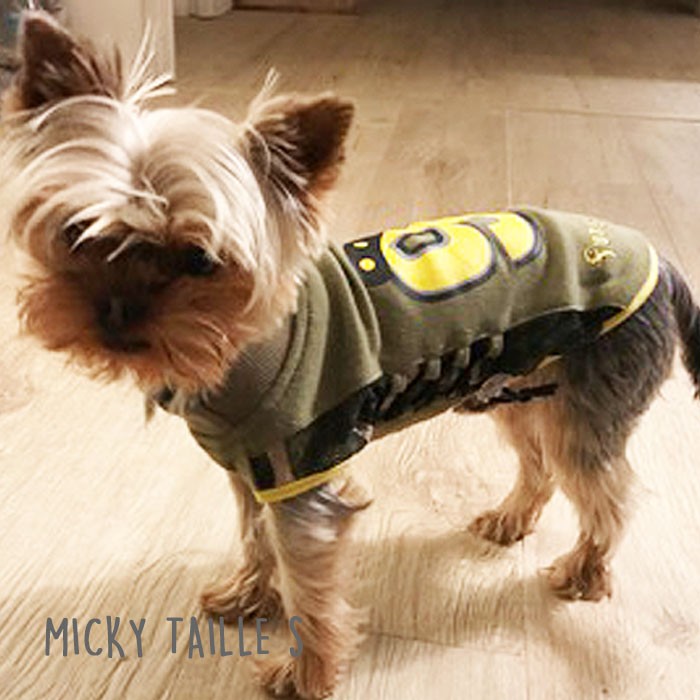 Micky looky little york wearing his little sports t-shirt.jpg
