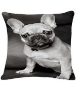 cojín bulldog en blanco y negro para interiores contemporáneos y diseño económico