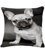 coussin bouledogue en noir et blanc pour interieur contemporain et design pas cher