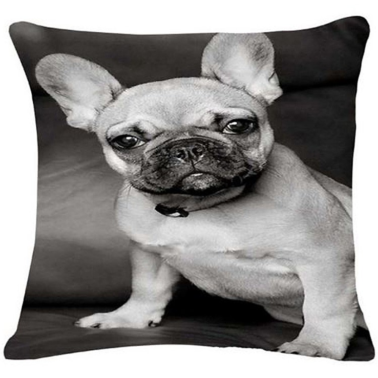 coussin bouledogue en noir et blanc pour interieur contemporain et design pas cher