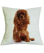 cadeau king charles coussin original pour interieur maison super joli