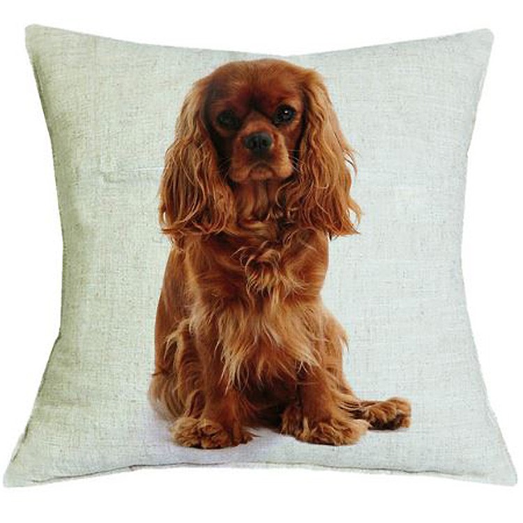 cadeau king charles coussin original pour interieur maison super joli