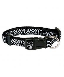 Zebra dog collar