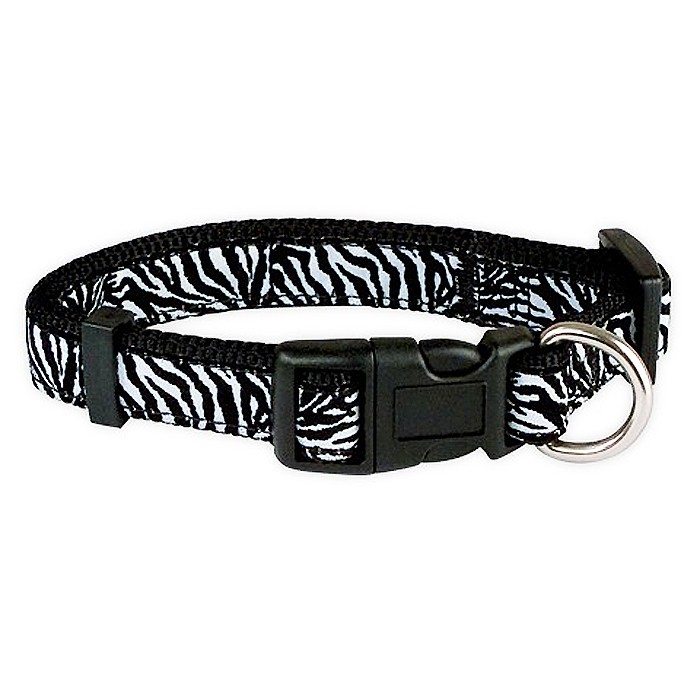 zebra collar for dogs cheap free delivery quality france