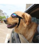 gafas-para-perro-grande