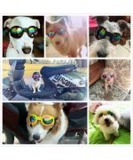 gafas de sol para perros
