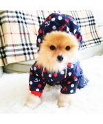 ropa para perro de Pomerania