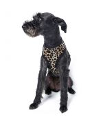 arnés de leopardo para perro pequeño