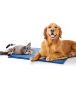 refreshing mat for cats