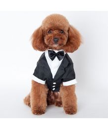 Dog tuxedo