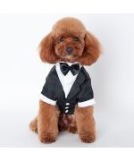 Tuxedo for animals: chihuahua, yorkshire, bichon, poodle, pug, bulldog, jack russel, dog and cat...