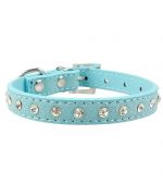 dog collar blue with rhinestones chihuahua small dog puppy bichon poodle jack russell yorkshire