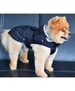 raincoat-for-dog-black-boutique-gueule-damour-marseille-paris-alpes-bretagne-nantes-montpellier