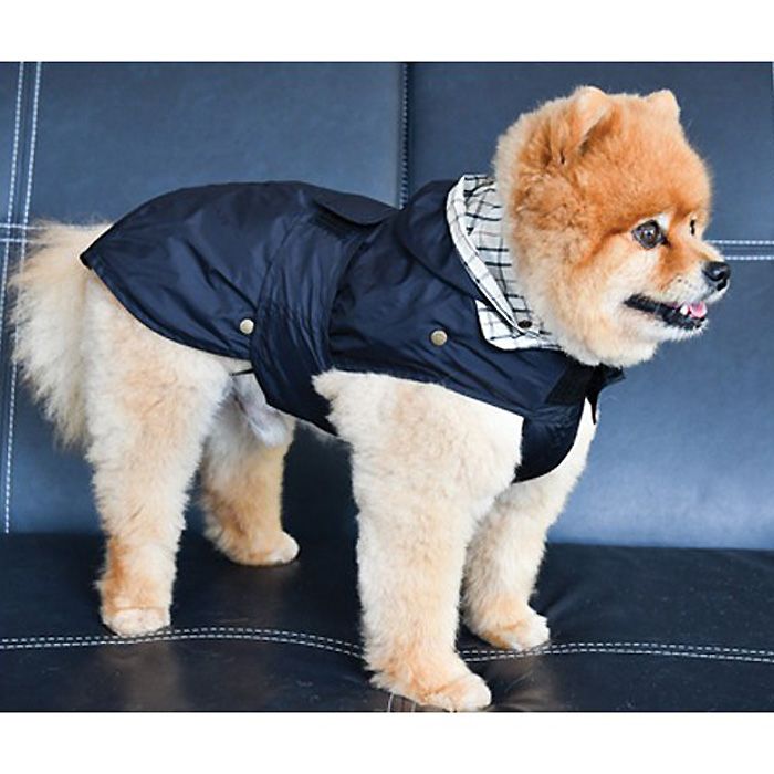 raincoat-for-dog-black-boutique-gueule-damour-marseille-paris-alpes-bretagne-nantes-montpellier