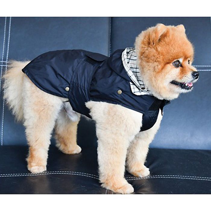 imperméable-pour-chien-noir-boutique-gueule-damour-marseille-paris-alpes-bretagne-nantes-montpellier