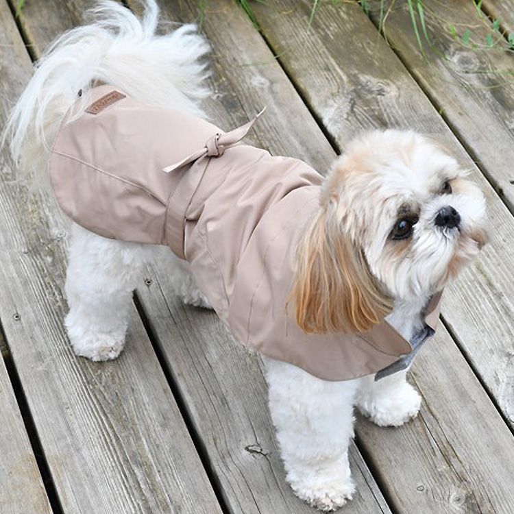 raincoat for dog beige-marseille-paris-alpes-bretagne-nantes-montpellier