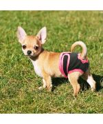 bragas para perros pequeños entrega rápida barata entrega martinica guadalupe isla de reunión